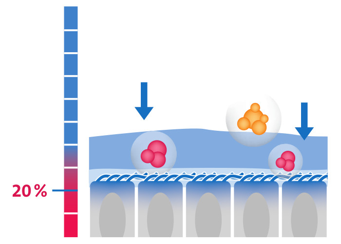Dry airway mucous membranes