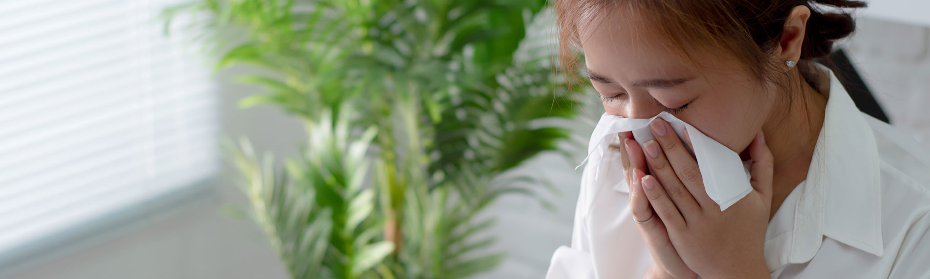 Low humidity and its affect on our airway defence system Low humidity and its affect on our airway defence system